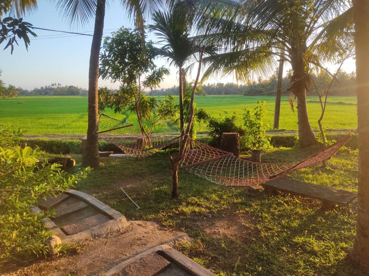 Village Mango Resort Yala Tissamaharama Ngoại thất bức ảnh