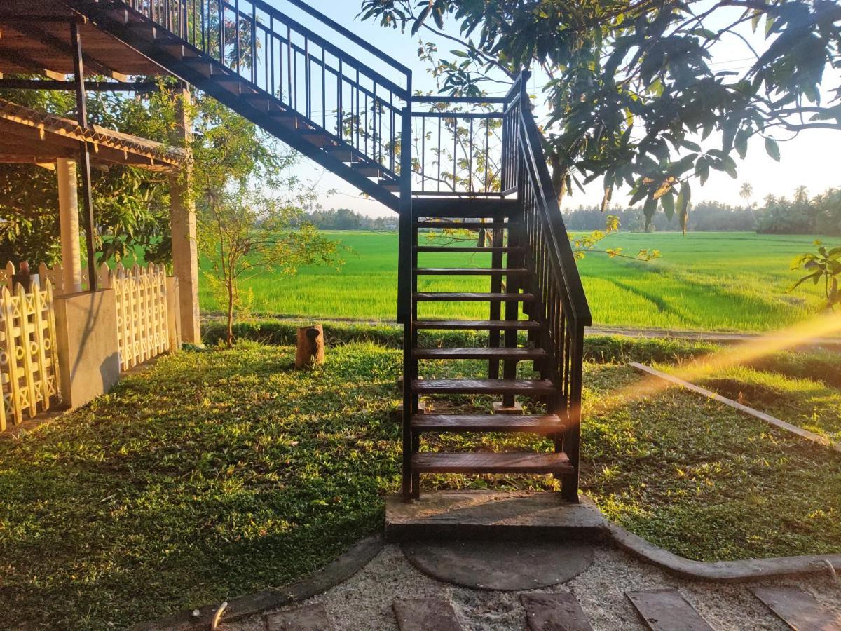 Village Mango Resort Yala Tissamaharama Ngoại thất bức ảnh