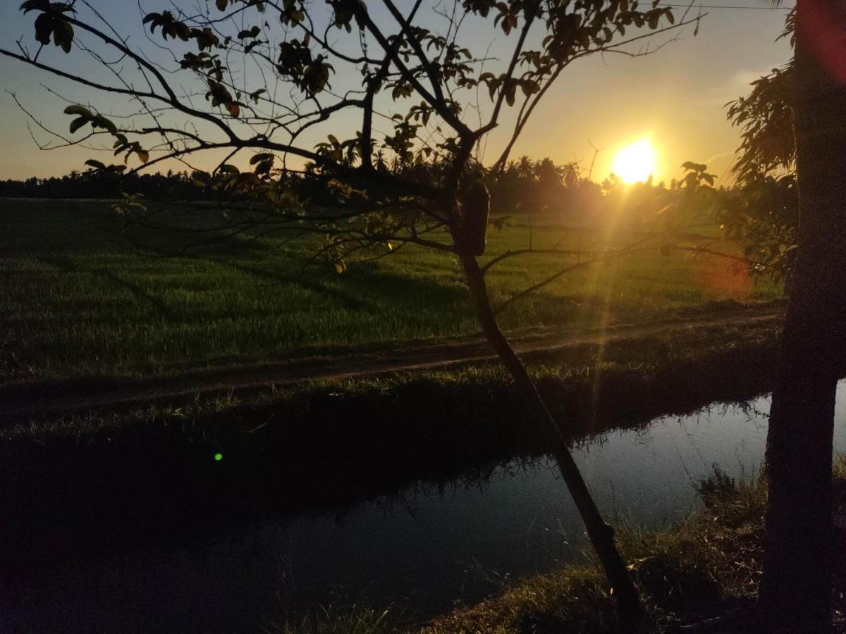 Village Mango Resort Yala Tissamaharama Ngoại thất bức ảnh