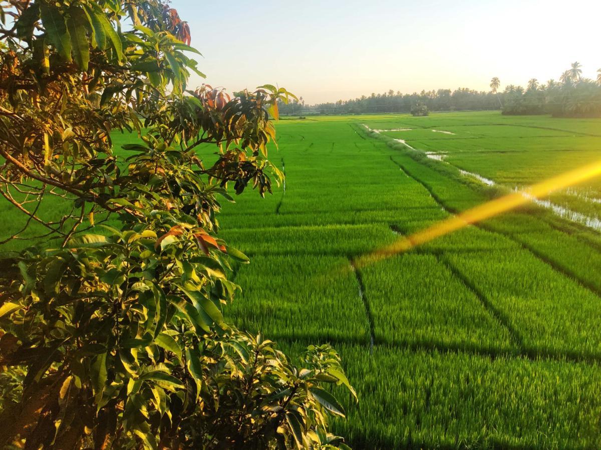 Village Mango Resort Yala Tissamaharama Ngoại thất bức ảnh