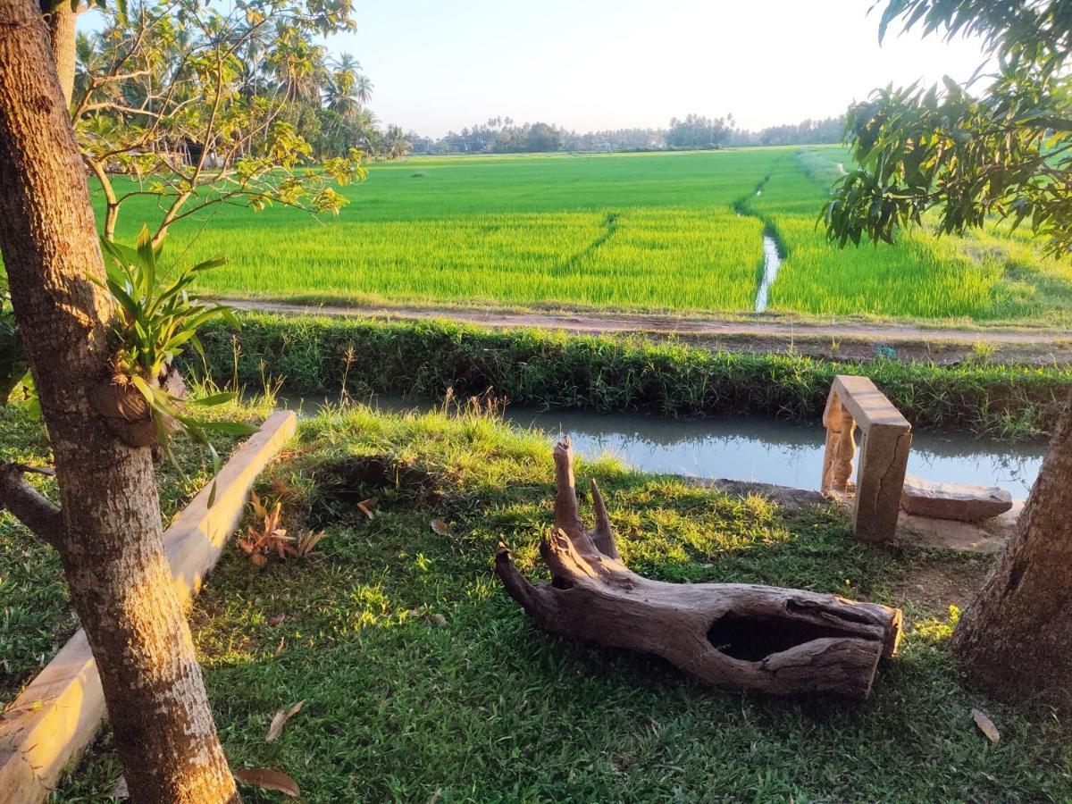 Village Mango Resort Yala Tissamaharama Ngoại thất bức ảnh