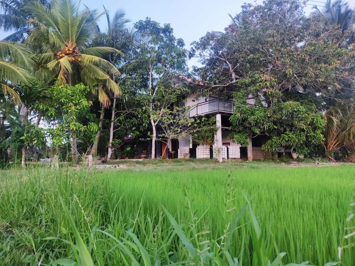 Village Mango Resort Yala Tissamaharama Ngoại thất bức ảnh