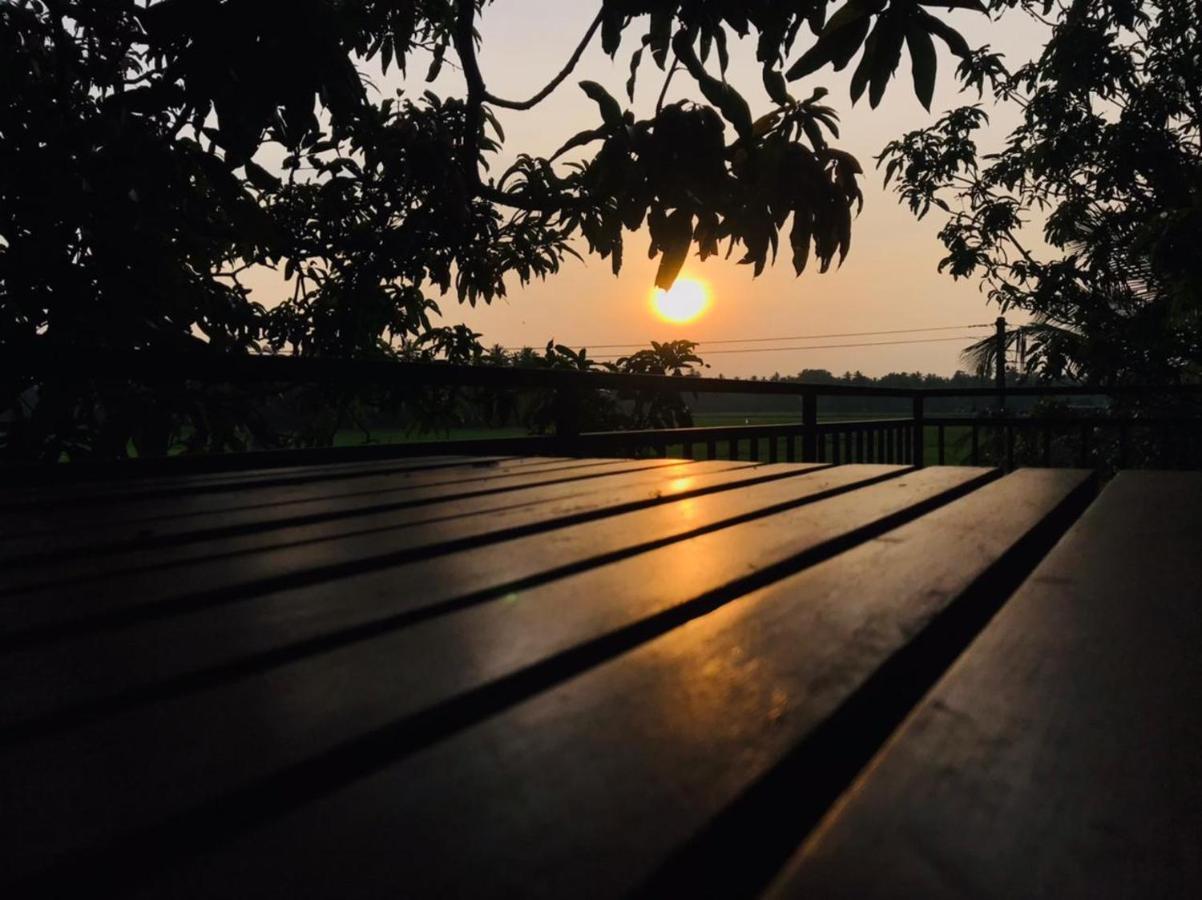 Village Mango Resort Yala Tissamaharama Ngoại thất bức ảnh