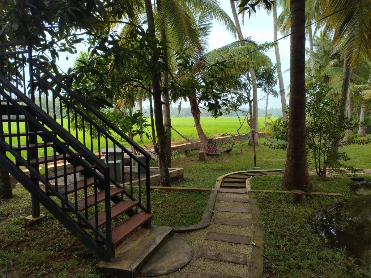 Village Mango Resort Yala Tissamaharama Ngoại thất bức ảnh