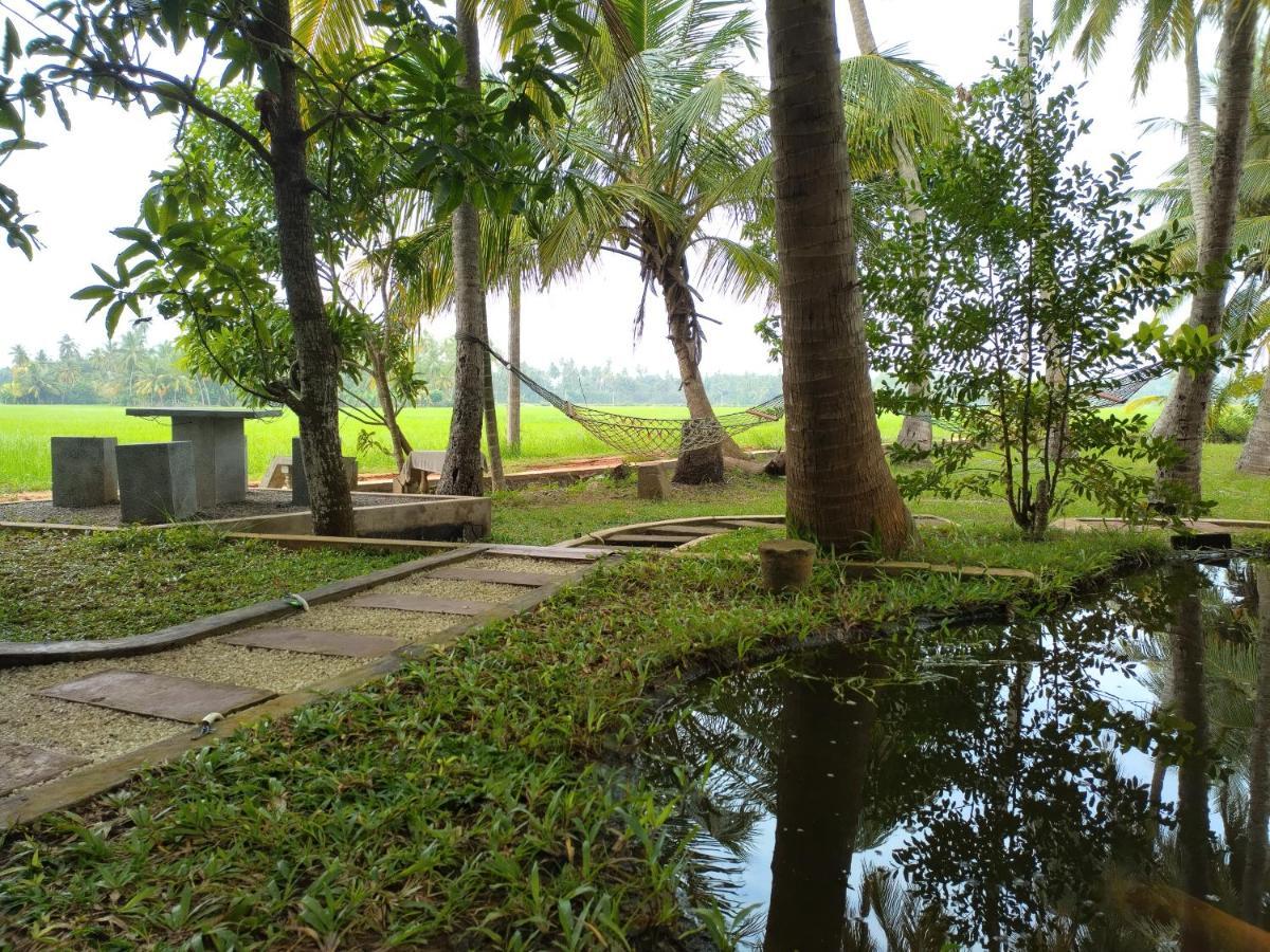 Village Mango Resort Yala Tissamaharama Ngoại thất bức ảnh