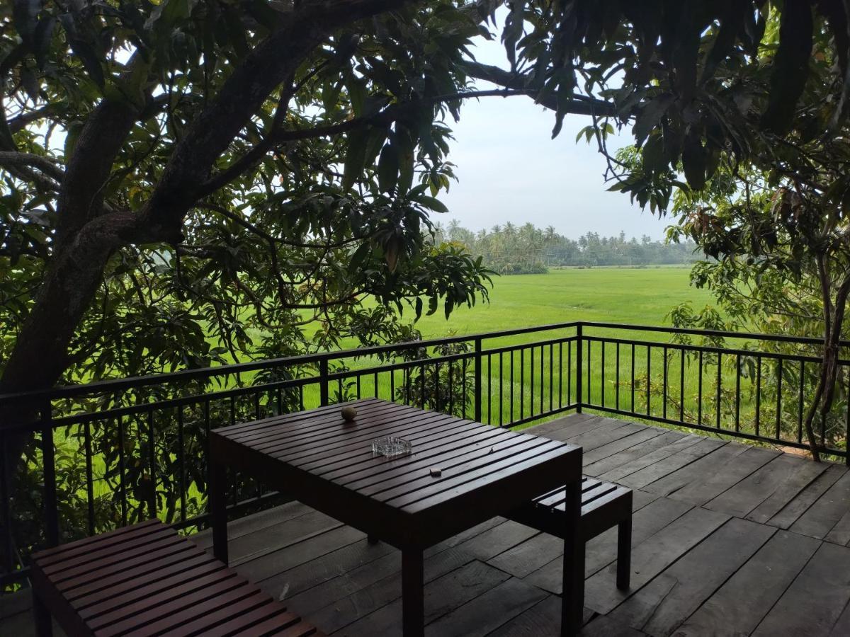 Village Mango Resort Yala Tissamaharama Ngoại thất bức ảnh
