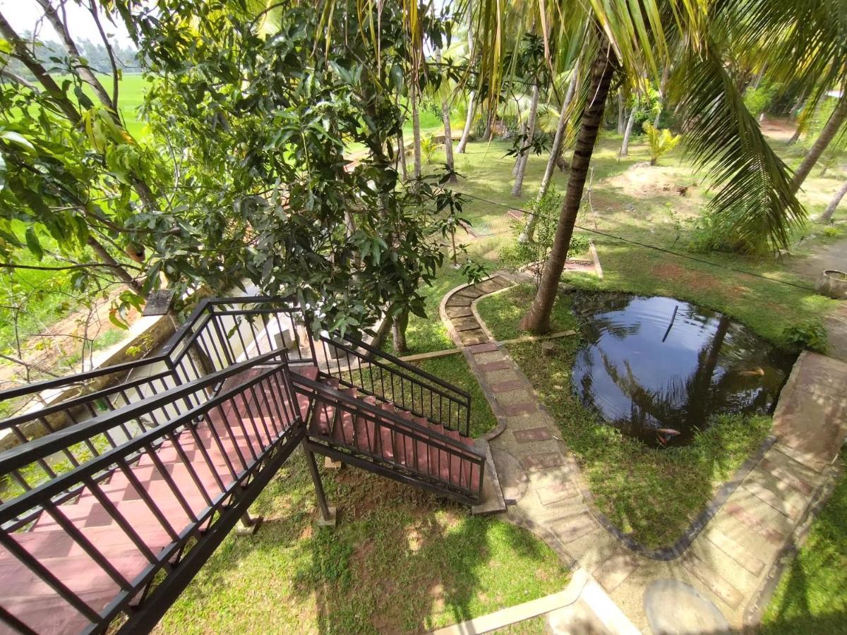 Village Mango Resort Yala Tissamaharama Ngoại thất bức ảnh