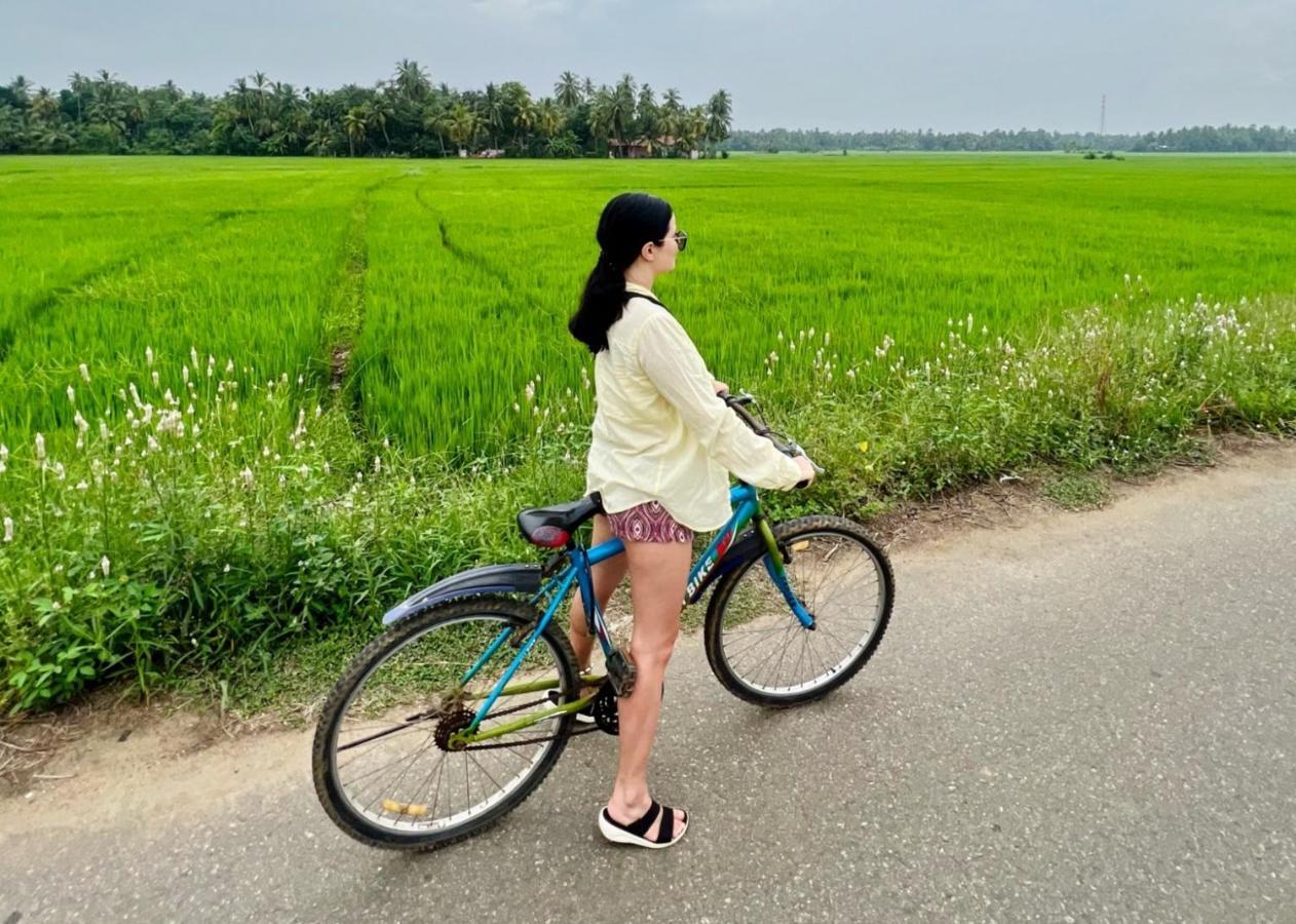 Village Mango Resort Yala Tissamaharama Ngoại thất bức ảnh