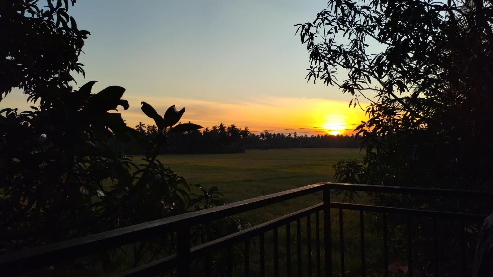 Village Mango Resort Yala Tissamaharama Ngoại thất bức ảnh